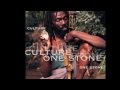 CULTURE - Down In Babylon