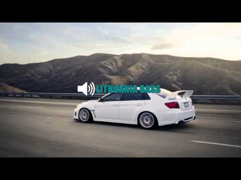 Electrodog Loc  Dog Music (ALINTI)