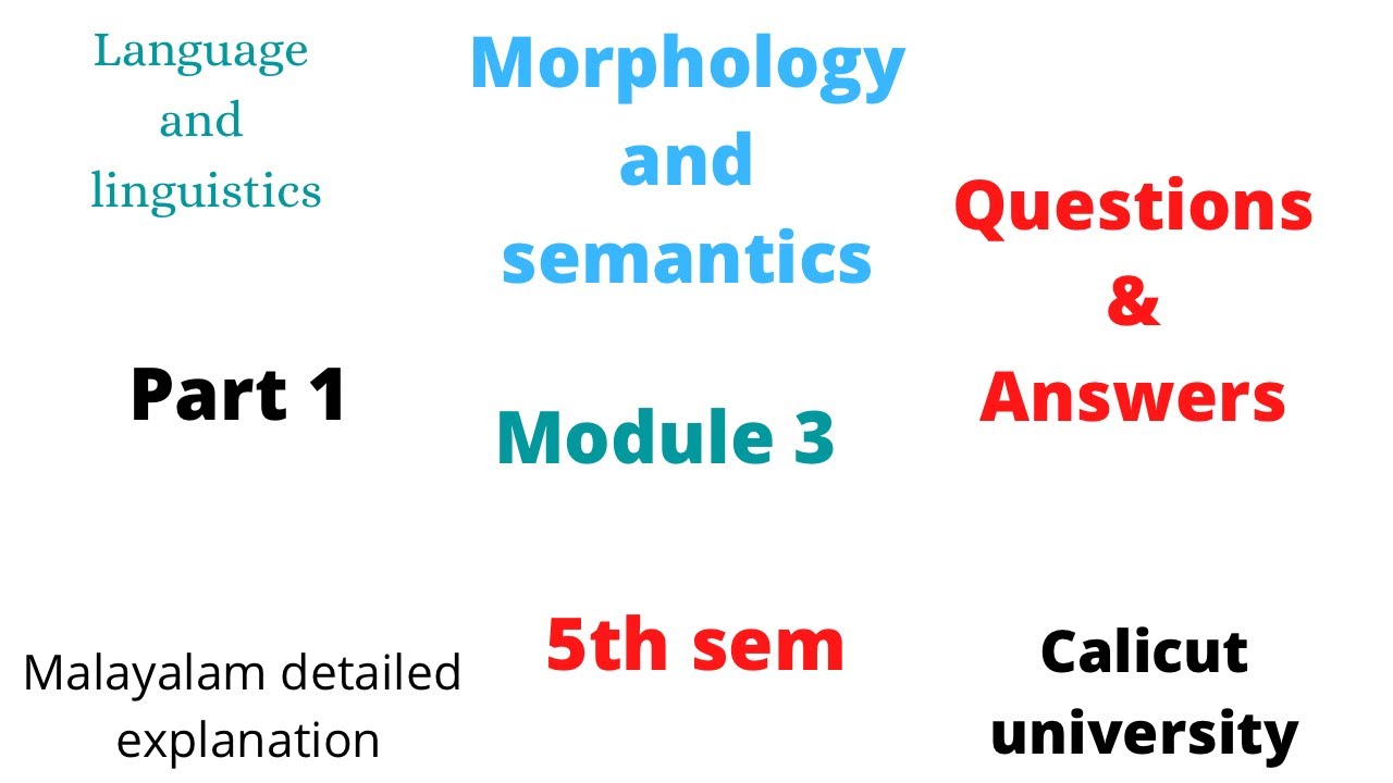 5th sem morphology and semantics questions and answers module 3 language and linguistics Calicut uni