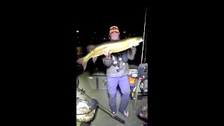Download the video "Musky Sucker Fishing LiveScope Saint John River NB #fish #fishing #fishingvideo #musky #muskyfishing"