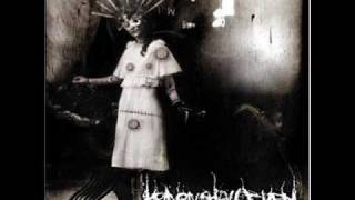 Heaven Shall Burn - To Harvest the Storm