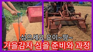 가을 홍감자 심을준비 끝~ 카스테라,빨간,속노란 감자 홍심이,16마력 트랙터로 휴립기 개조,감자파종기