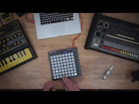 Novation // Launchpad feat. Buddy Peace