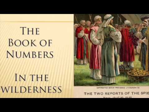 The Book of Numbers - Chapter 21