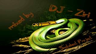 Snakebeat Project House Mix # 10 mixed by DJ - Ziri