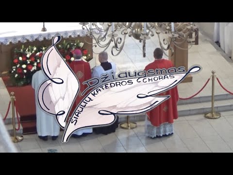 "PAKILK IR ŠVIESK" - Gieda Šiaulių Katedros sekmadienio Sumos choras "Džiaugsmas" Sekminių šventėje