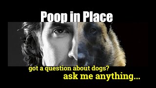 How to Teach a Dog to Poop in One Place -ask me anything - Dog Training Video