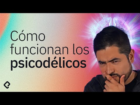 Cómo funcionan los psicodélicos y qué riesgos tienen