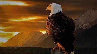 POUR NOS JOIES ET POUR NOS PEINES