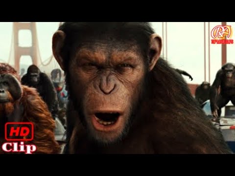 Apes Attack San Francisco - Rise Of The Planet Of The Apes | Best Action Movie Clips | HD