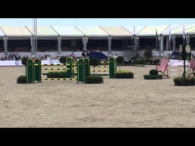 Half-brother of the mother is the CSI 1.60m show jumping Stallion Papillon Z with rider Jerome Guery.