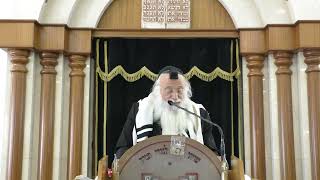 השיחה השבועית | הרב יהודה עמית | פרשת פקודי תשפ''ד