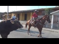 Video de SAN MARCOS GUERRERO TORO