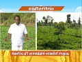 Pon Vilaiyum Bhoomi 12 04 2021 Successful Farmer Story