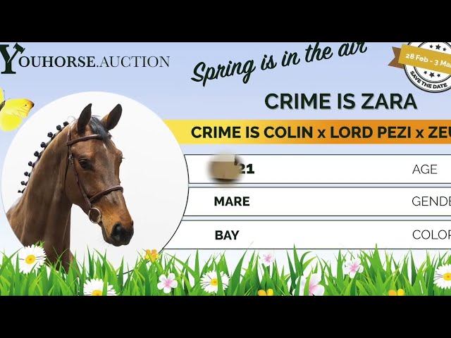 Crime is Zara leadchanges