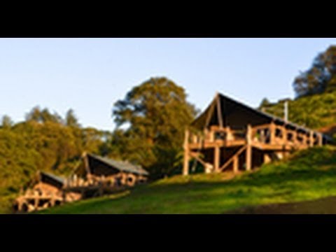 Longlands, Devon - Sawday's Canopy & Stars