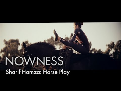 Equestrian Vaulting:  Capturing the beauty and elegance of the sport