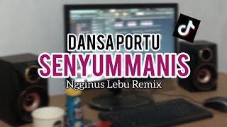 Download lagu DANSA PORTU HTS SENYUM MANIS NGGINUS LEBU REMIX mp3