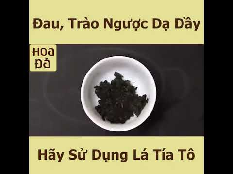 Cách Trị Đau, Trào Ngược Dạ Dầy Ngay Tại Nhà