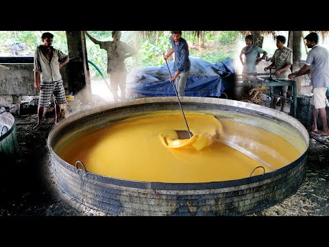 Biggest Jaggery Making Process  From Sugarcane Juice | Making Of Gurr | Bellam Making | Panela