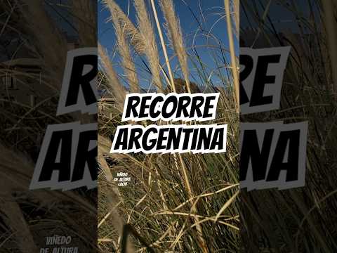 #shotoniphone #travel #Recorreargentina #cachi #Salta #vloggerlife #shorts