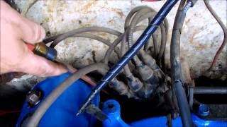 Distributor Cap, Ignition wire, '55 Ford Y Block