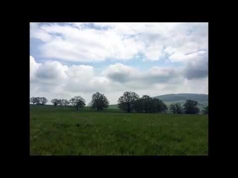 V šírem poli - ZO SLIVKOVÝCH SAMOT II.  Brezovská muzika, Rosenka