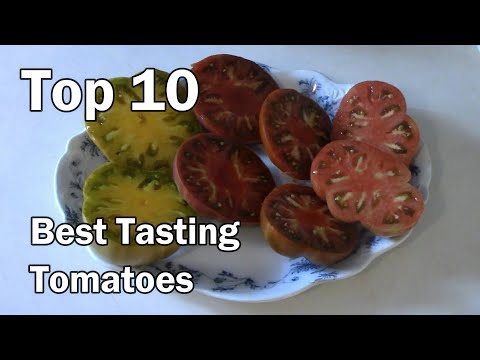 Top 10 Best Tasting Tomatoes According To 360,000 Viewers