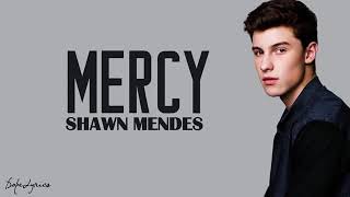 Shawn Mendes ~ mercy (lyrics)