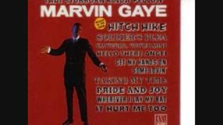 Marvin Gaye - I'm Yours, You're Mine