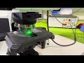 Microprobe Demo