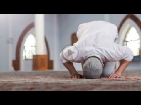 Gabimet në namaz që duhet ti dijë patjetër çdo besimtar! - Dr. Imam Ahmed Kalaja