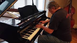 Sandy Nemecek Peter Gabriel Darkness piano transcription