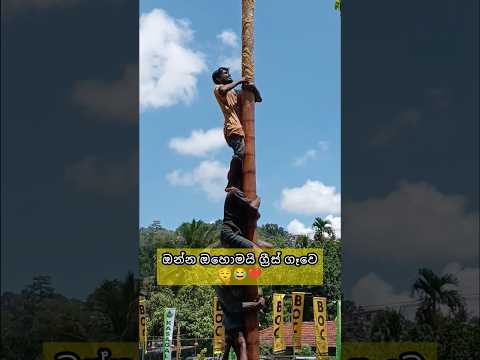 ග්‍රීස් ගානවා දැකල නැති අයට 😂 #viral #trending