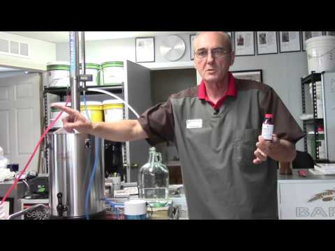 Running the TURBO 500 and making Brandy