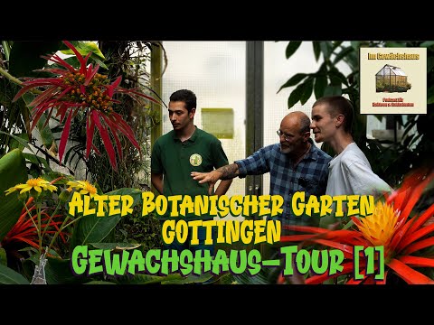 Alter Botanischer Garten Göttingen | Gewächshaus Tour [1]