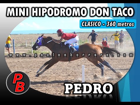 PEDRO: MINI HIPODROMO DON TACO - LOS CERRILLOS (11-12-2022)
