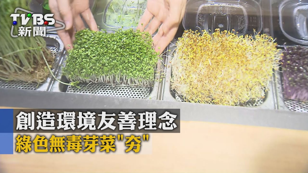 創造環境友善理念 綠色無毒芽菜「夯」