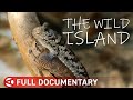 New Caledonia: The Lost World of Rare Creatures DEFAULT Thumbnail