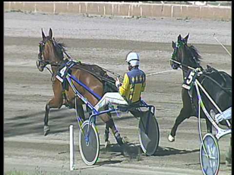 Trotto 07/05/2017 - 3ª corsa