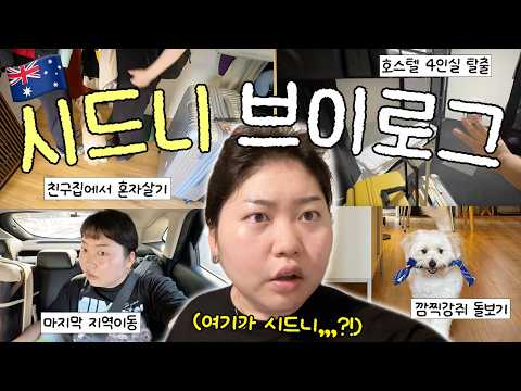 🇦🇺워홀_찐_최종_종착지_시드니_브이로그.mp4 내가 펫시터라니,,,,,!🐶🐾