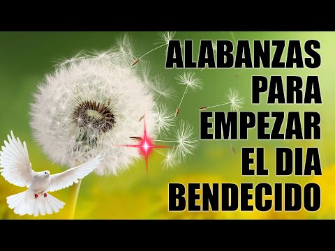 DIOS MANDA LLUVIA: Poderosas Alabanzas De Adoracion Mix - Musica Cristiana Intimidad Con Dios