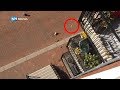 Eendjes springen van metershoog balkon