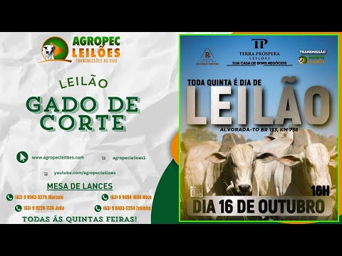 agropecleiloes.com LEILÃO GADO DE CORTE | TERRA PRÓSPERA LEILÕES-ALVORADA-TO 16/10/2025