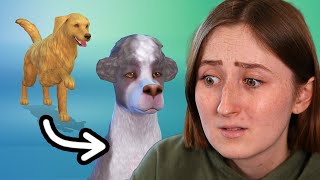 What happens to pets in The Sims after 10 generations?