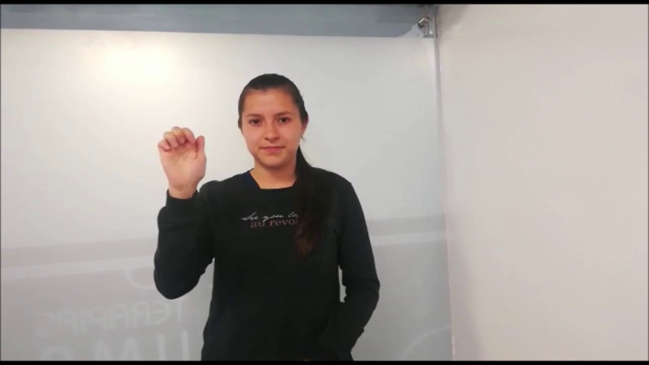 Video lenguaje de señas