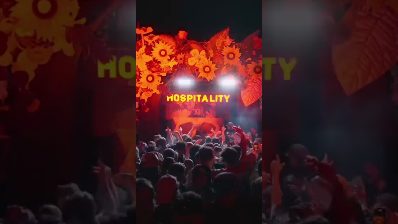 This banger from Flava D is absolutely purrrrfect 🔥🙀 #shorts #dnb #electronicmusic #festival #dj