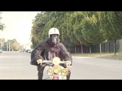 Earl Jacob x Pleasure Trap - Fotobudka (official video)