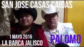 Palomo en San José Casas Caídas Mun La barca jalisco 1 mayo