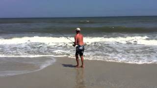 preview picture of video 'Carolina Beach Hammer Head Shark'